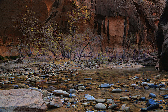 Canyon Oasis