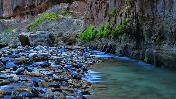 Canyon Garden