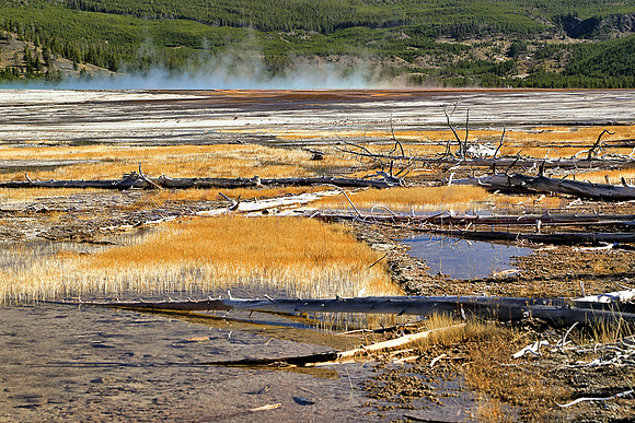 Grand Prismatic Spring