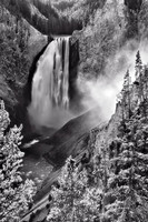 Yellowstone Falls