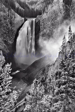 Yellowstone Falls