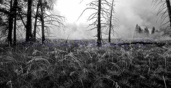 Mystic Morning
