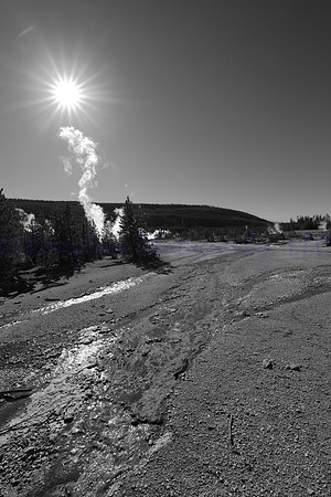 Scorched Earth