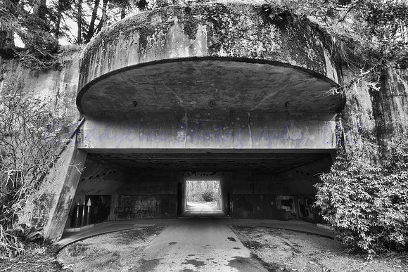 The Battery