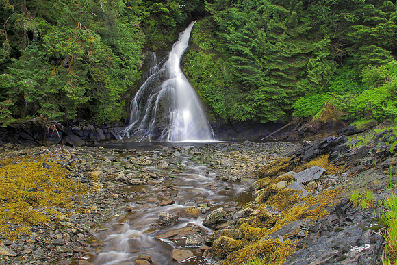 Salmon Falls