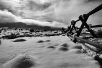 Behind The Reef
