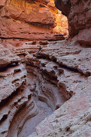 Cathedral Canyon Hiker