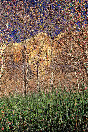 Escalante Patterns
