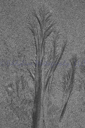 Sand Patterns