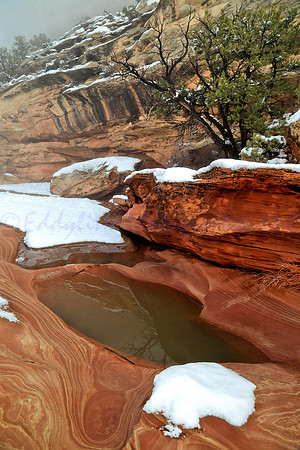 Wildhorse Canyon Winter