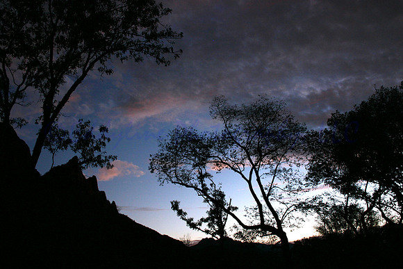 Zion Sunset