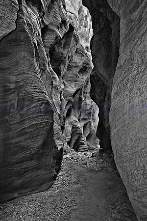 Desert Passages