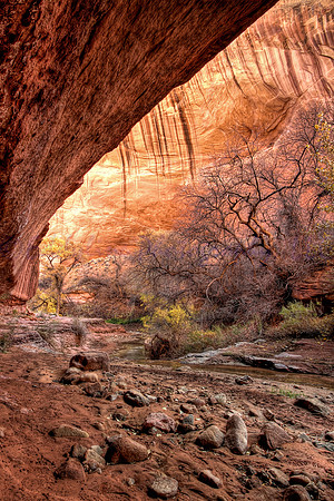 Willow Gulch
