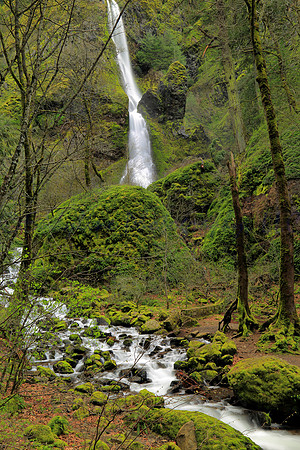 Starvation Creek