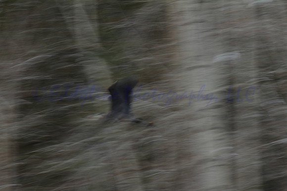 Abstract Heron