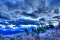 Kai's Bitterroot Skies