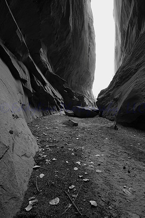Burr Trail