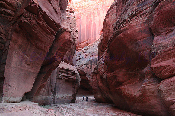 Adventurers